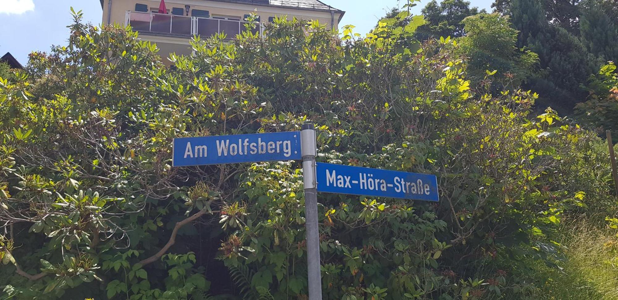 באד אלסטר Ferienwohnungen Villa Goldbrunnen מראה חיצוני תמונה